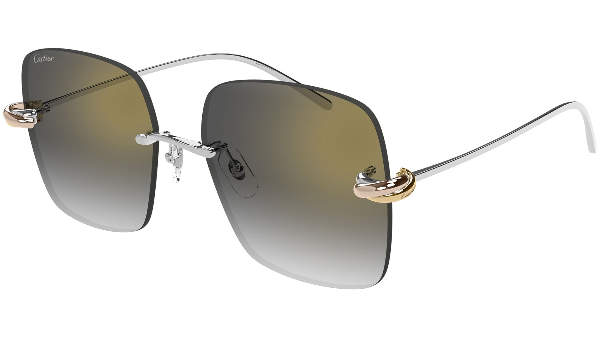 Occhiali da sole CARTIER CT0508S Smooth platinum finish