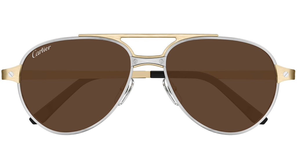 Occhiali da sole CARTIER CT0476S Brushed platinum finish and brushed
