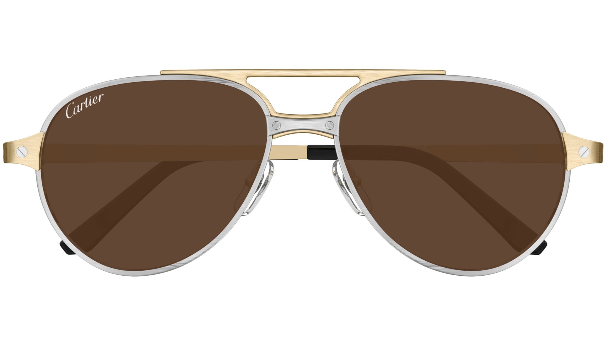 Occhiali da sole CARTIER CT0476S Brushed platinum finish and brushed