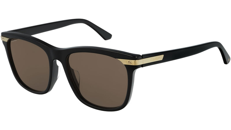 Occhiali da sole CARTIER CT0190SA Black brushed champagne