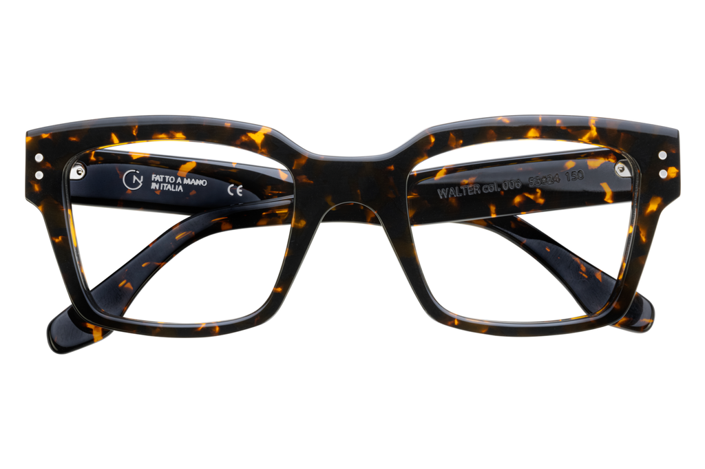 Occhiali da vista GIORGIO NANNINI WALTER 006