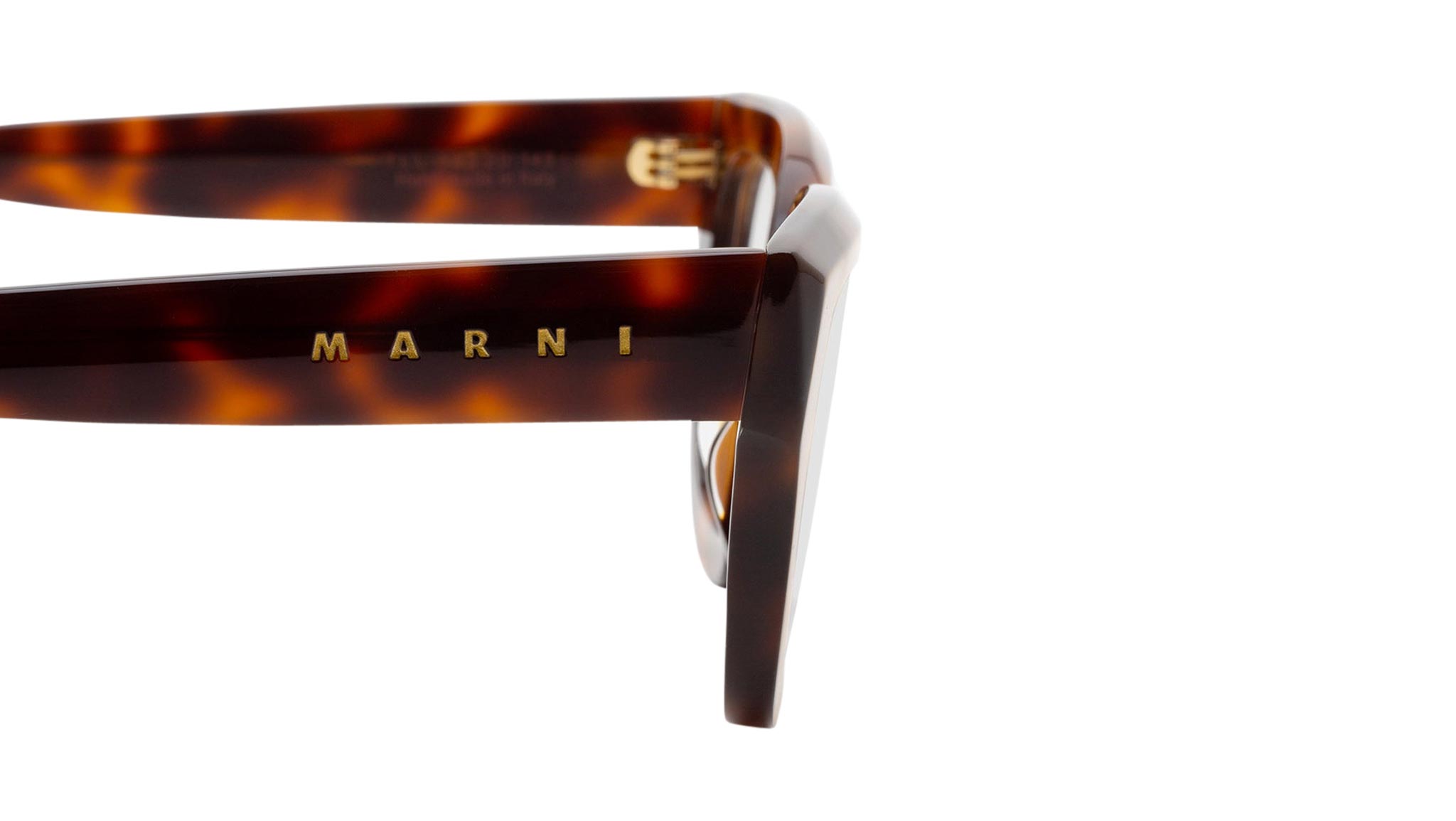 Occhiali MARNI Ha Havana
