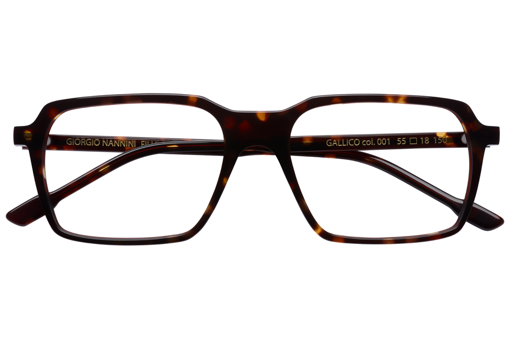 Occhiali da vista GIORGIO NANNINI FILUM GALLICO CLIP-ON 001