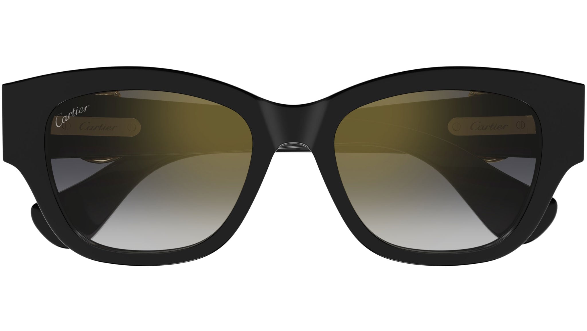 Occhiali da sole CARTIER CT0548SA Black