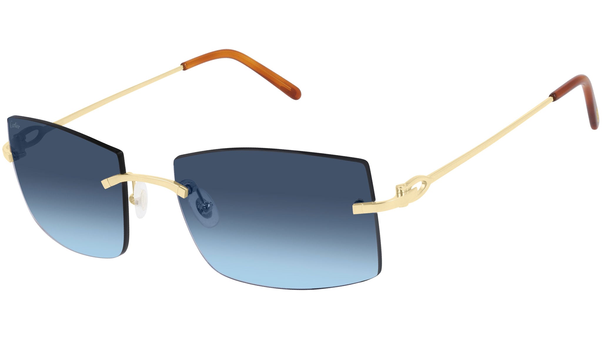 Occhiali da sole CARTIER CT0005RS Shiny or pale