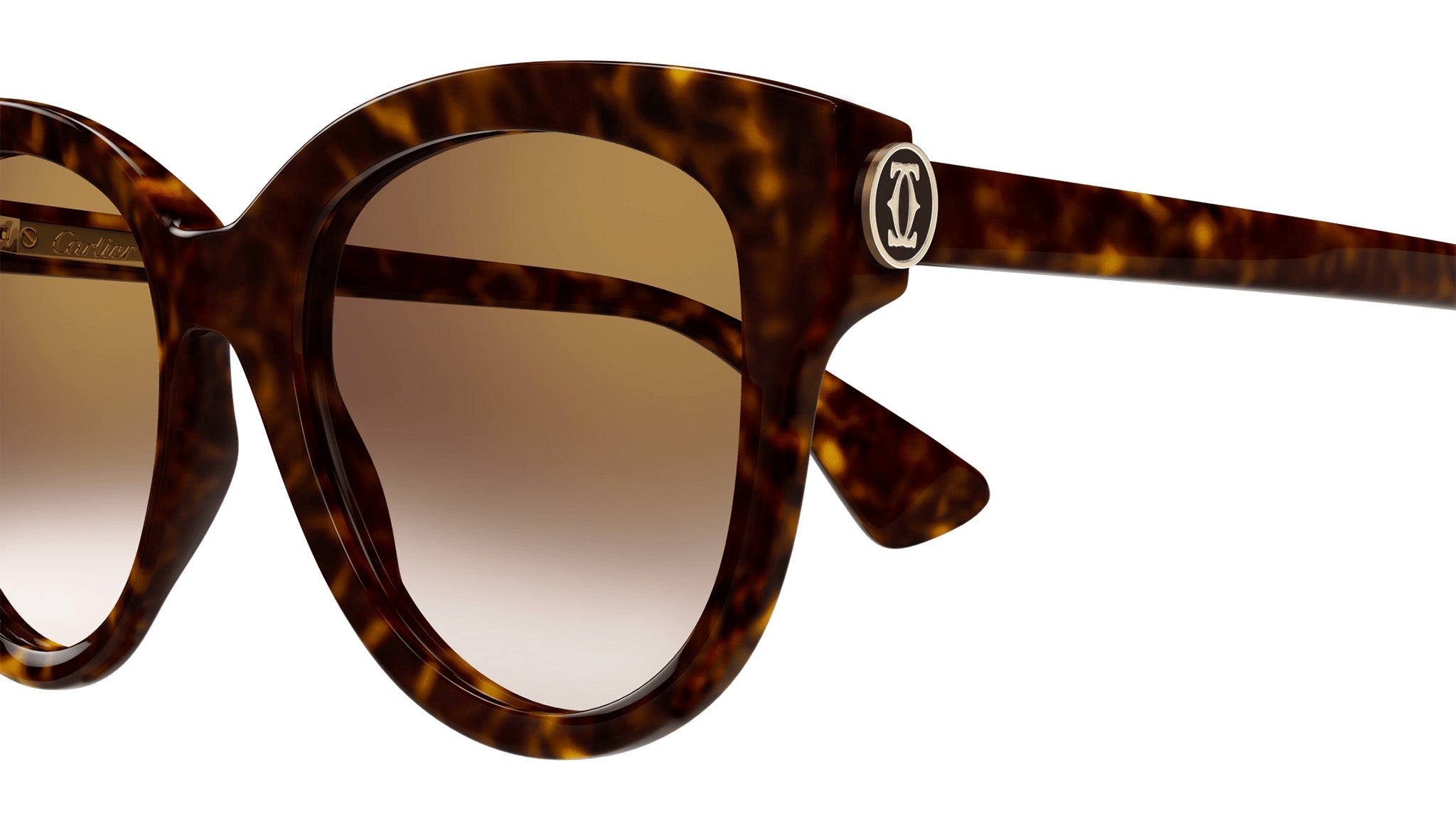 Occhiali da sole CARTIER CT0506S Dark tortoiseshell effect