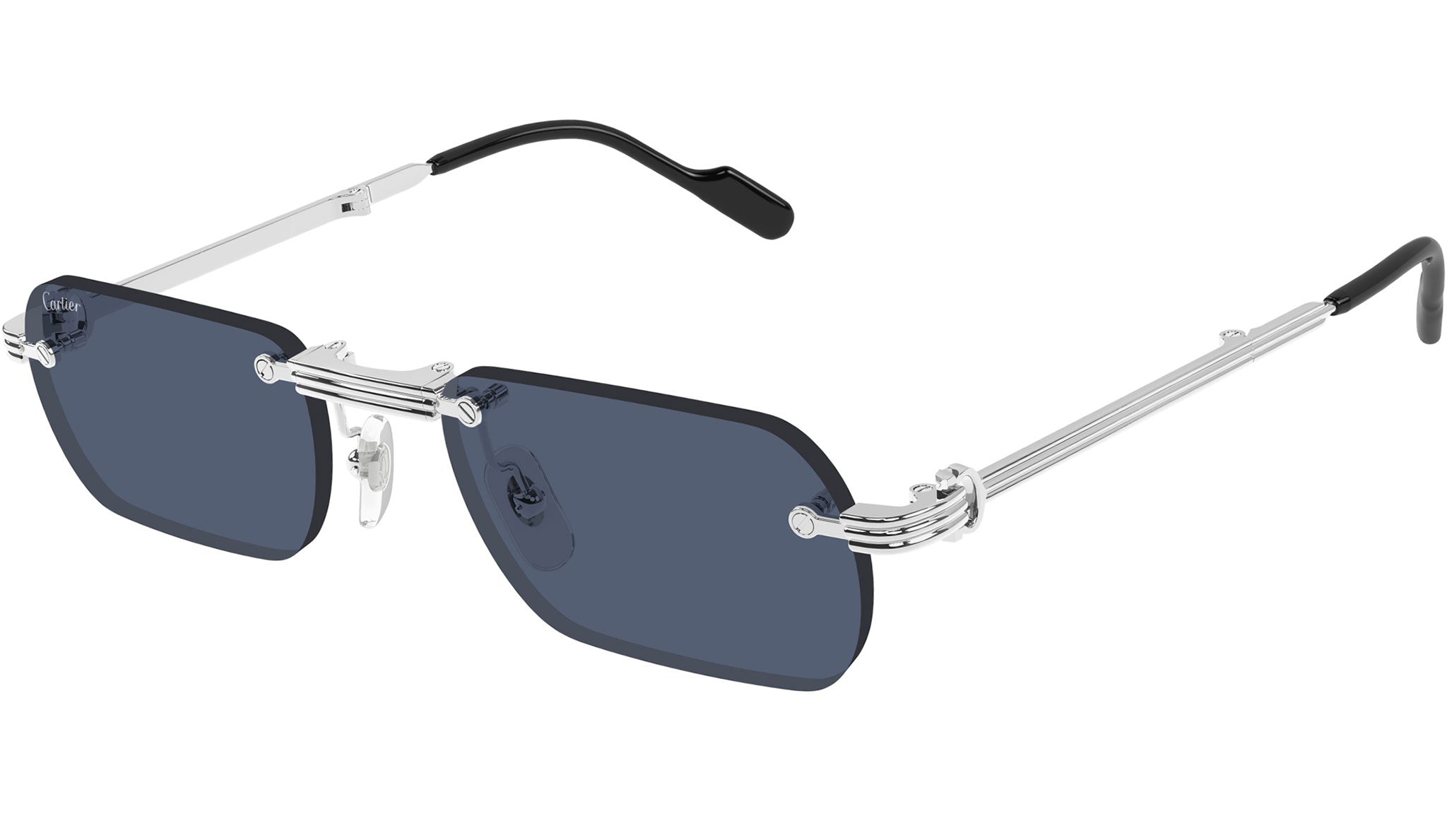 Occhiali da sole CARTIER CT0499S Smooth platinum finish