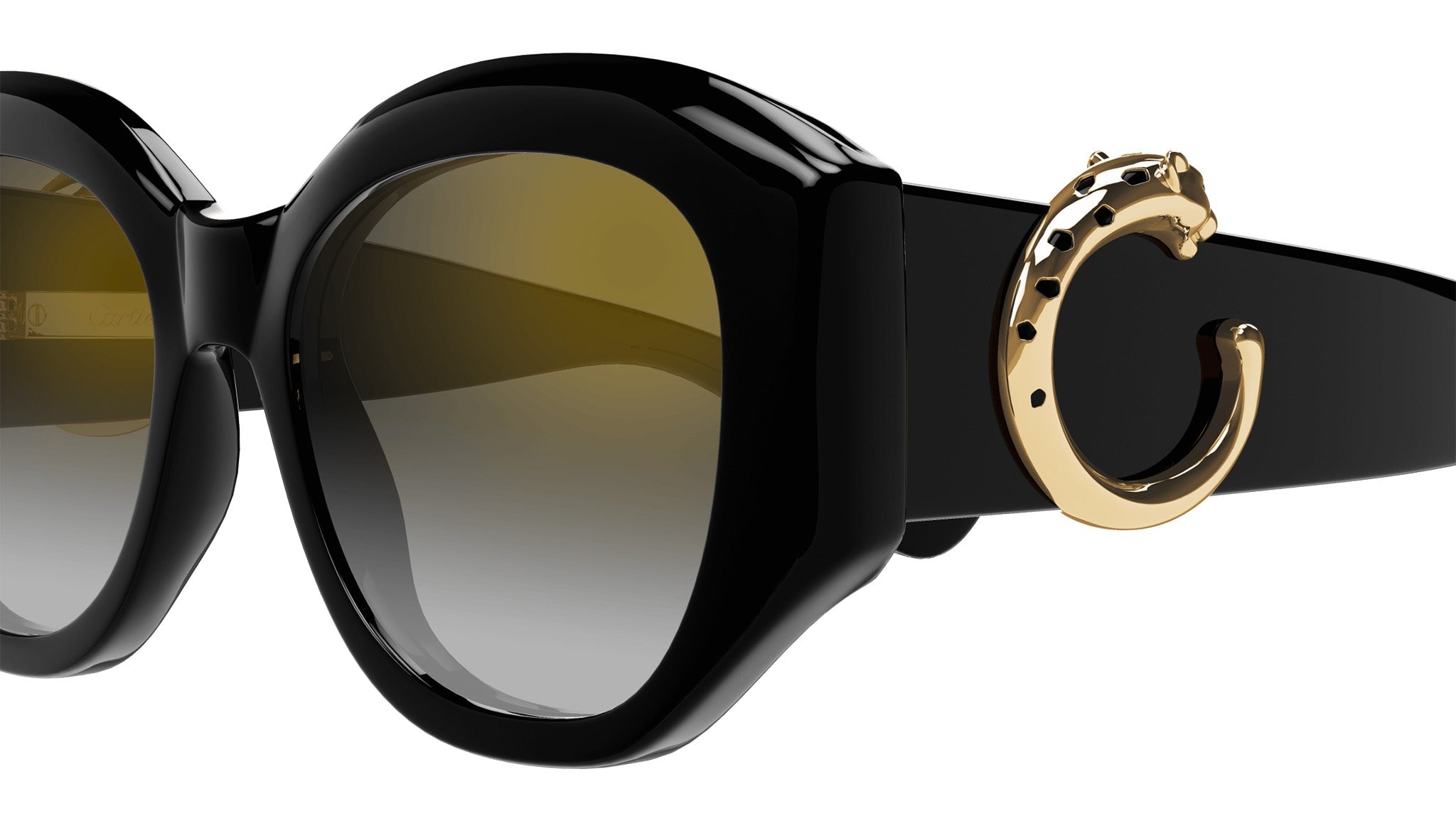 Occhiali da sole CARTIER CT0502S Black