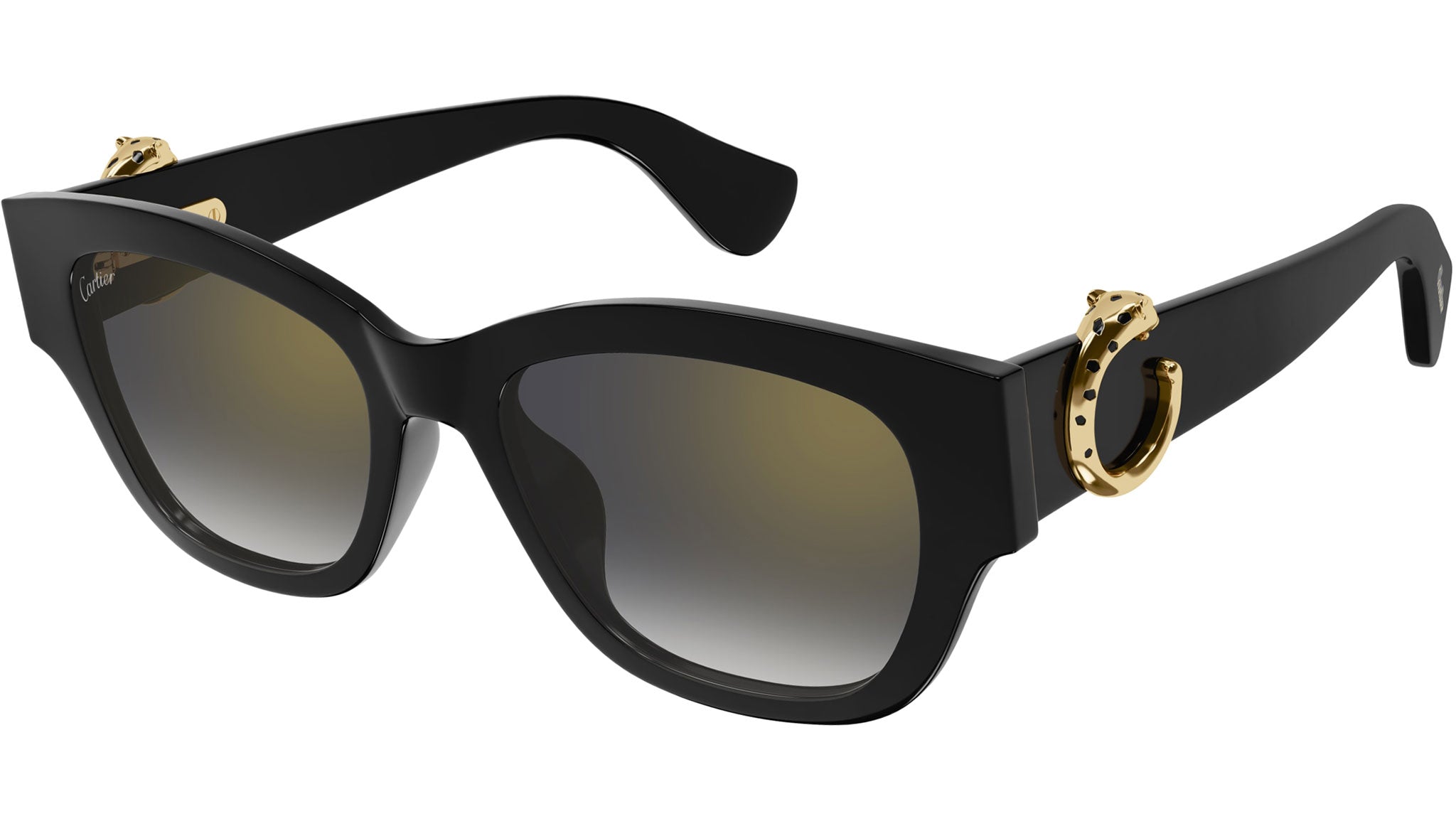 Occhiali da sole CARTIER CT0548SA Black