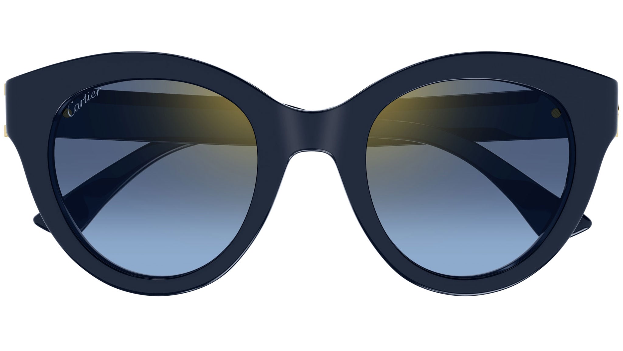 Occhiali da sole CARTIER CT0436S Blue