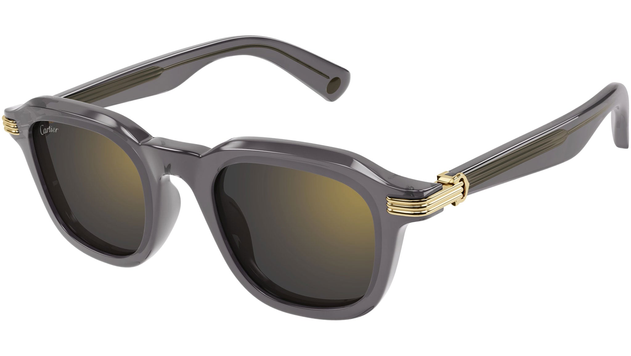 Occhiali da sole CARTIER CT0536S Transparent grey