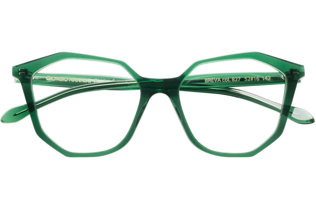 Occhiali da vista GIORGIO NANNINI FILUM BREVA 827