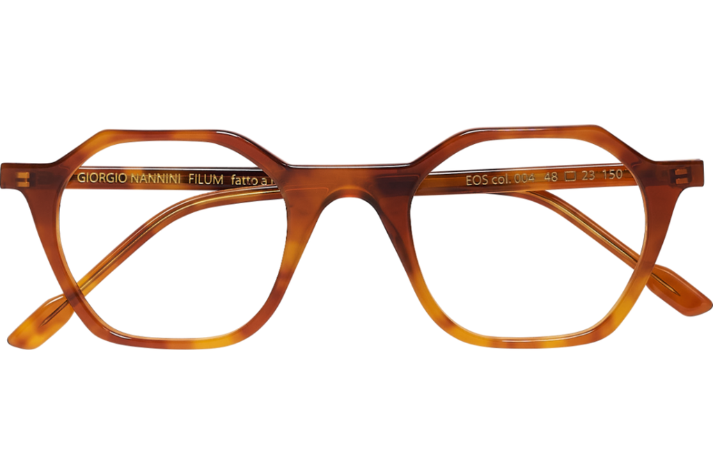 Occhiali da vista GIORGIO NANNINI FILUM EOS CLIP-ON 004