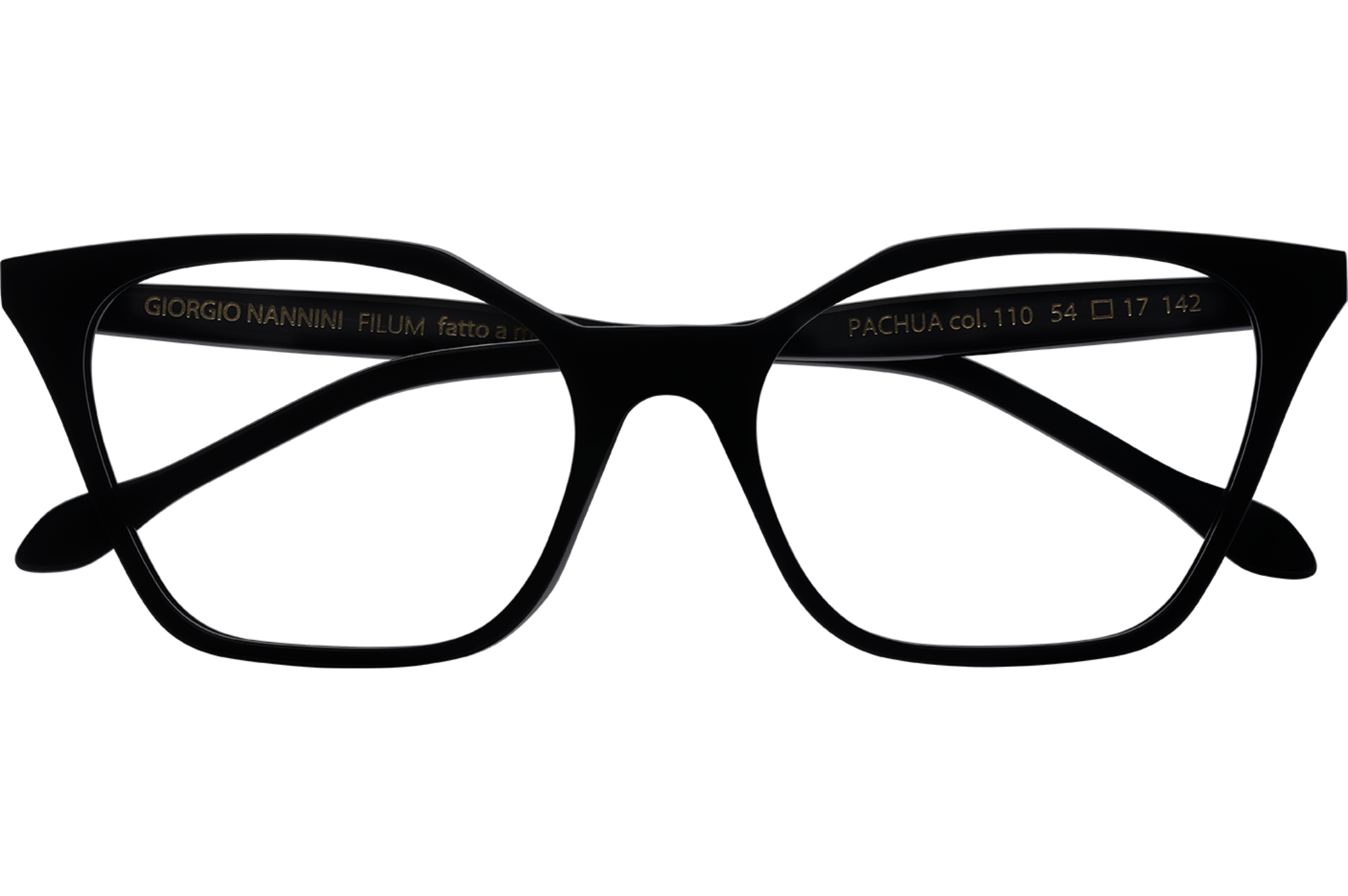 Occhiali da vista GIORGIO NANNINI FILUM PACHUA 110