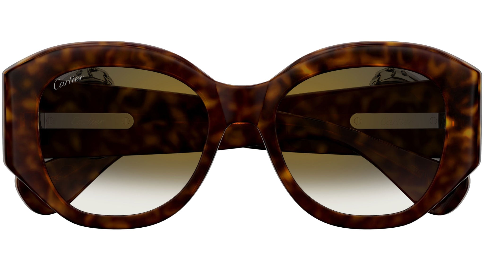 Occhiali da sole CARTIER CT0502S Dark tortoiseshell effect