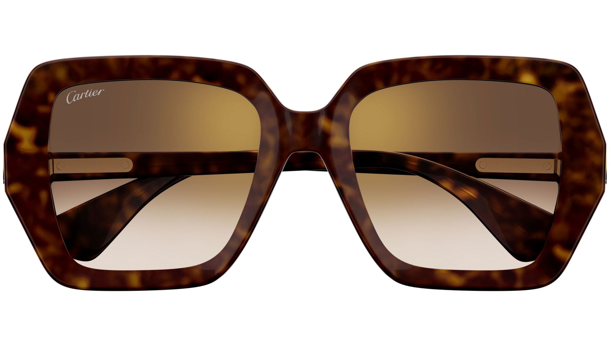 Occhiali da sole CARTIER CT0507S Dark tortoiseshell effect