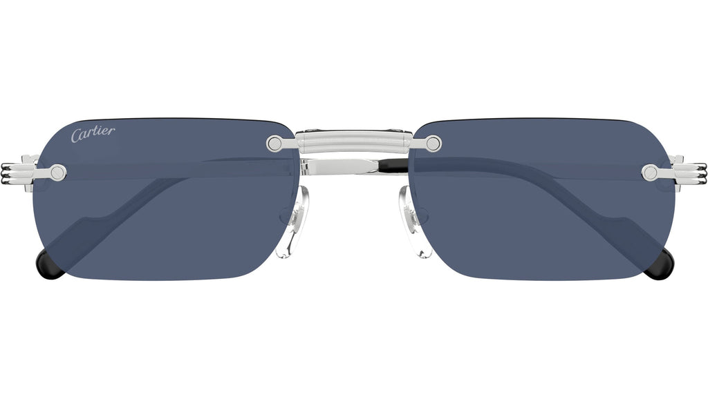 Occhiali da sole CARTIER CT0499S Smooth platinum finish