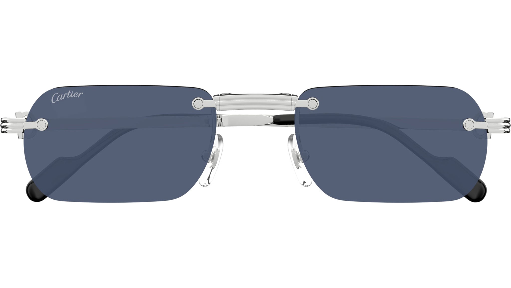 Occhiali da sole CARTIER CT0499S Smooth platinum finish