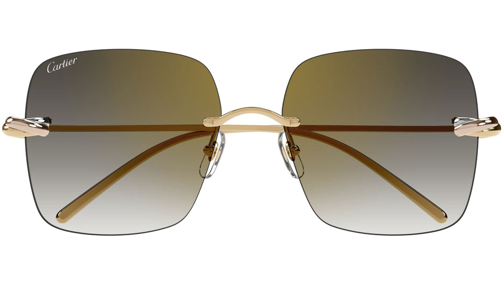 Occhiali da sole CARTIER CT0508S Smooth golden finish