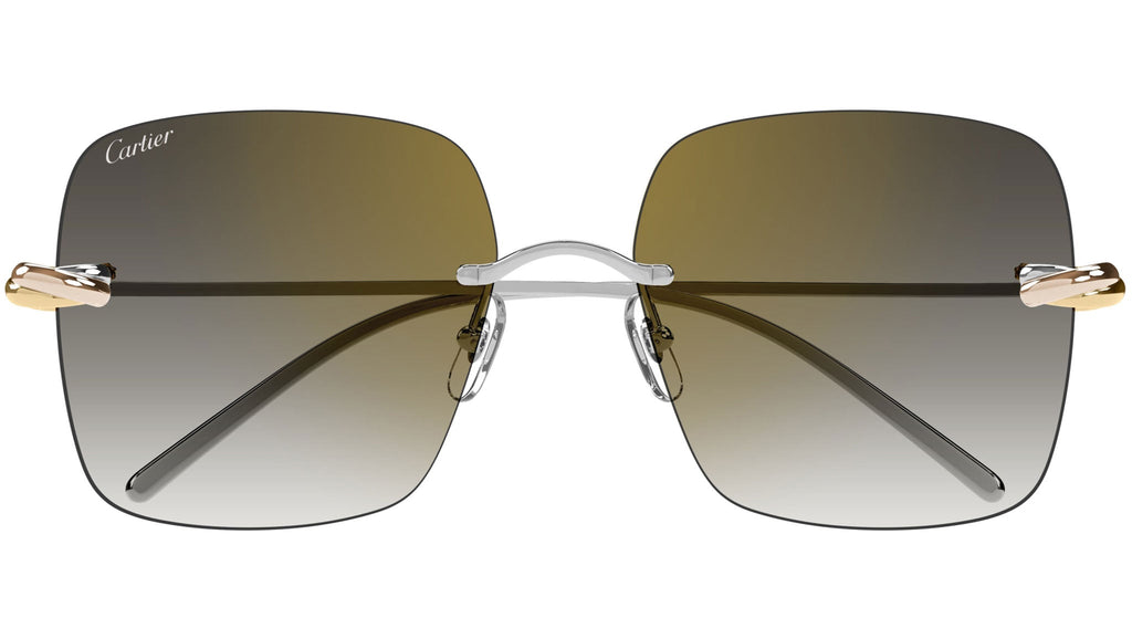 Occhiali da sole CARTIER CT0508S Smooth platinum finish
