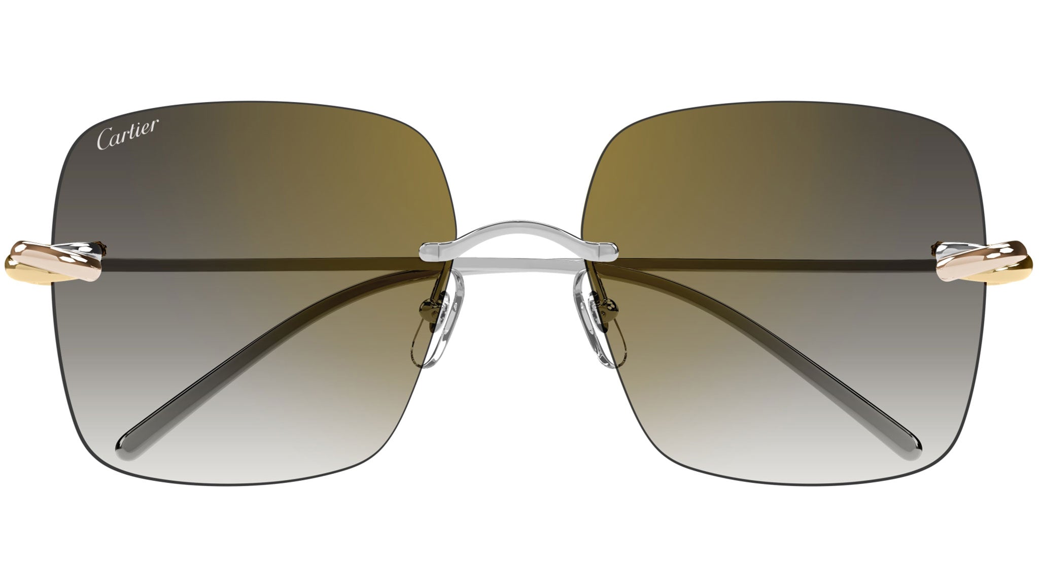 Occhiali da sole CARTIER CT0508S Smooth platinum finish