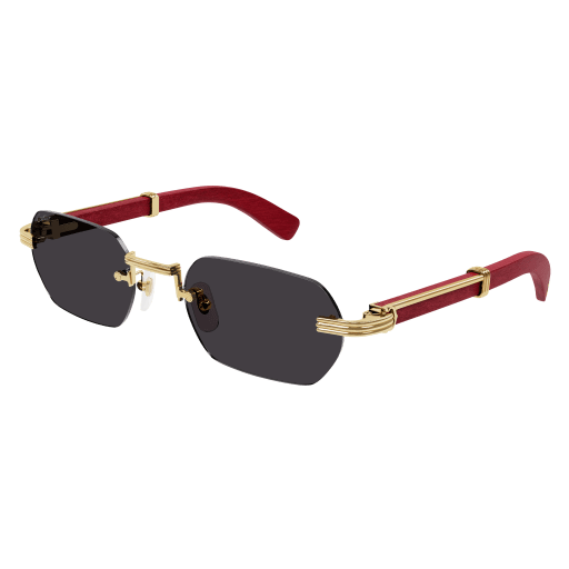 Occhiali da sole CARTIER CT0362S Oro