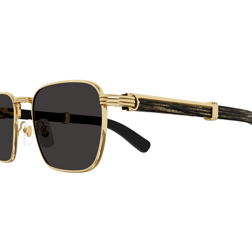 Occhiali da sole CARTIER CT0363S ORO