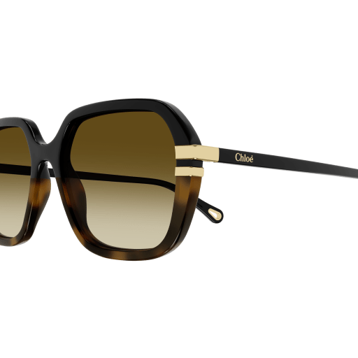 Occhiali da sole CHLOÉ CH0204S NERO 1