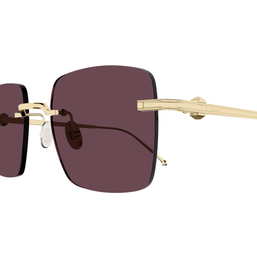Occhiali da sole CARTIER CT0403S ORO2