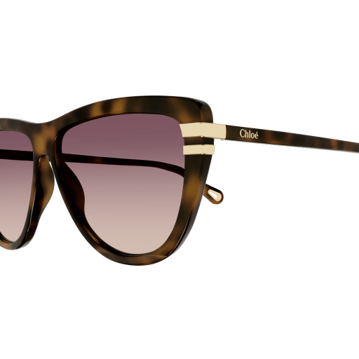 Occhiali da sole CHLOÉ CH0203S Havana