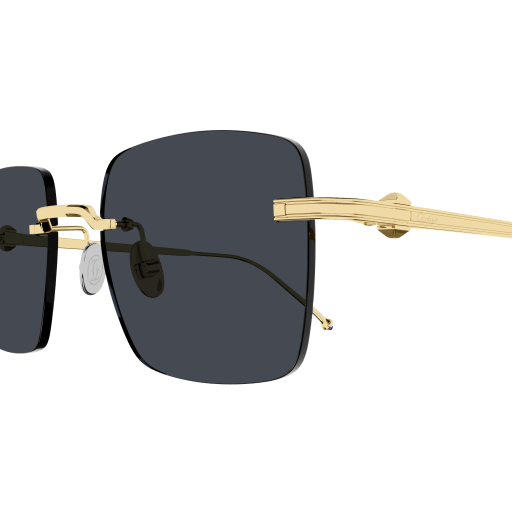 Occhiali da sole CARTIER CT0403S ORO