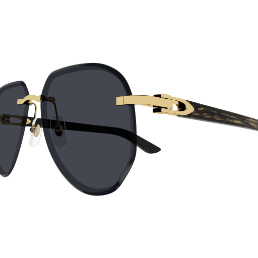 Occhiali da sole CARTIER CT0440S ORO