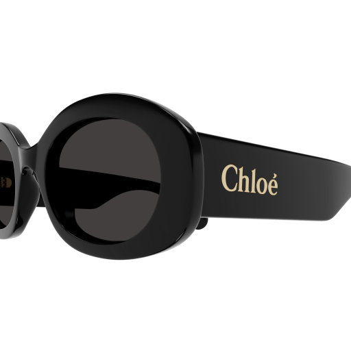 Occhiali da sole CHLOÉ CH0258S Nero
