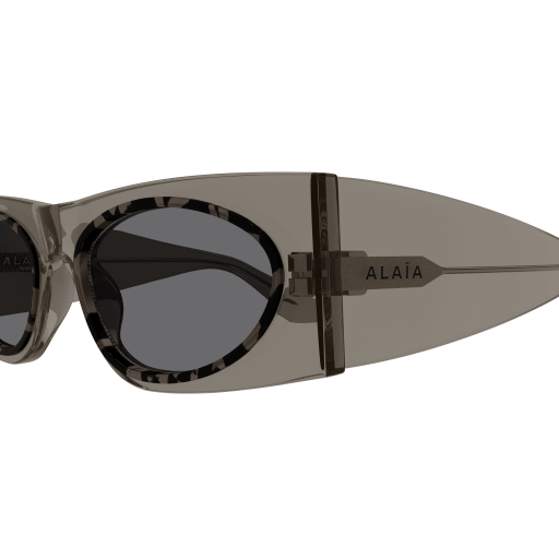 Occhiali da sole AZZADINE ALAIA AA0085S MARRONE