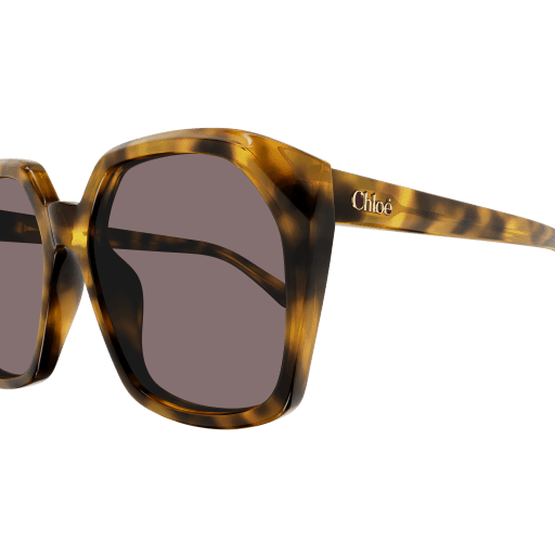 Occhiali da sole CHLOÉ CH0280S Havana
