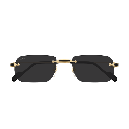 Occhiali da sole CARTIER CT0498S ORO