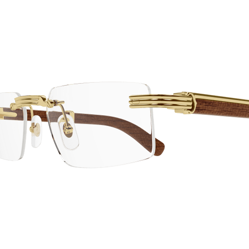 Occhiali da vista CARTIER CT0485O ORO2