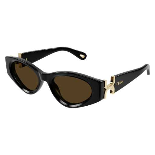 Occhiali da sole CHLOÉ CH0259S Nero