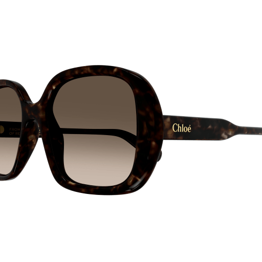 Occhiali da sole CHLOÉ CH0222S HAVANA