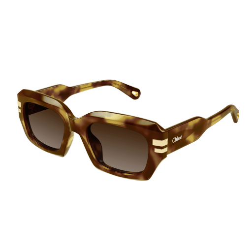 Occhiali da sole CHLOÉ CH0256S Havana