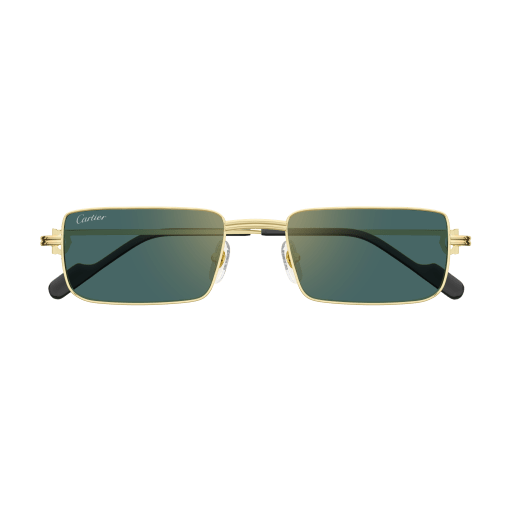 Occhiali da sole CARTIER CT0501S ORO2