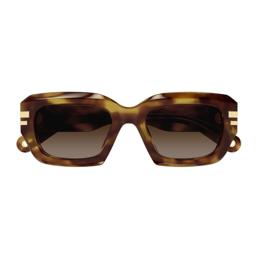 Occhiali da sole CHLOÉ CH0256S Havana