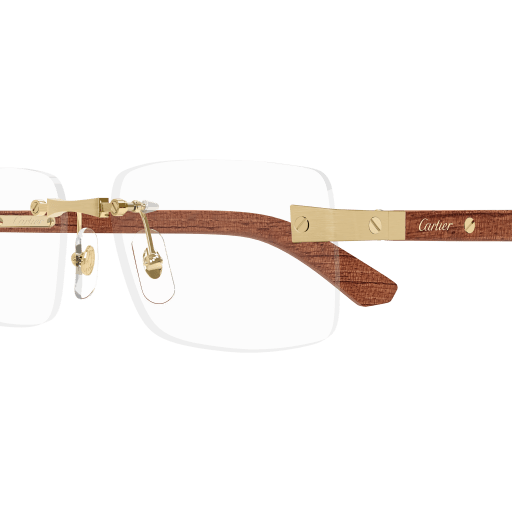 Occhiali da vista CARTIER CT0513O ORO2