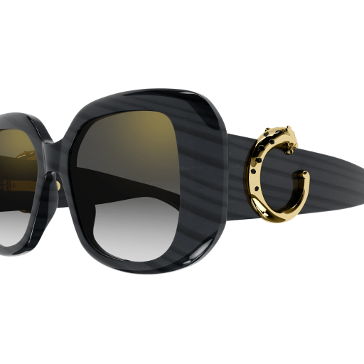 Occhiali da sole CARTIER CT0471S Grigio