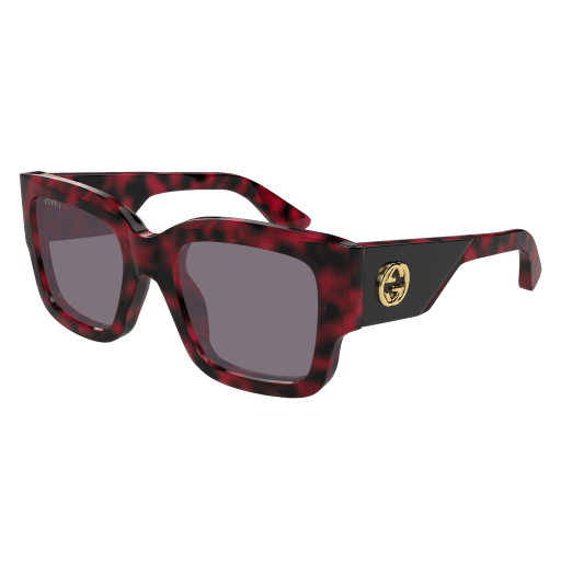 Occhiali da sole GUCCI GG1663S HAVANA2
