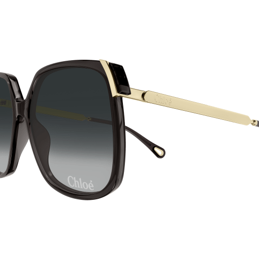 Occhiali da sole CHLOÉ CH0286S Grigio
