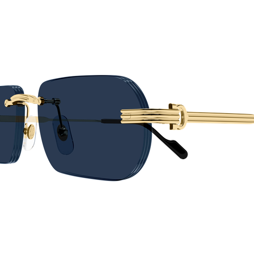 Occhiali da sole CARTIER CT0577S ORO2