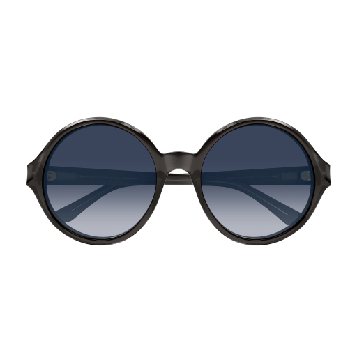 Occhiali da sole CHLOÉ CH0290S Grigio