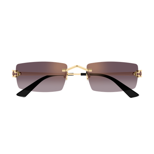 Occhiali da sole CARTIER CT0598S ORO3