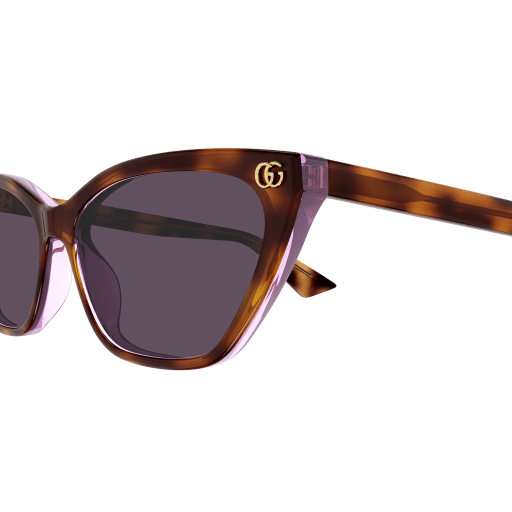 Occhiali da sole GUCCI GG1815S HAVANA2